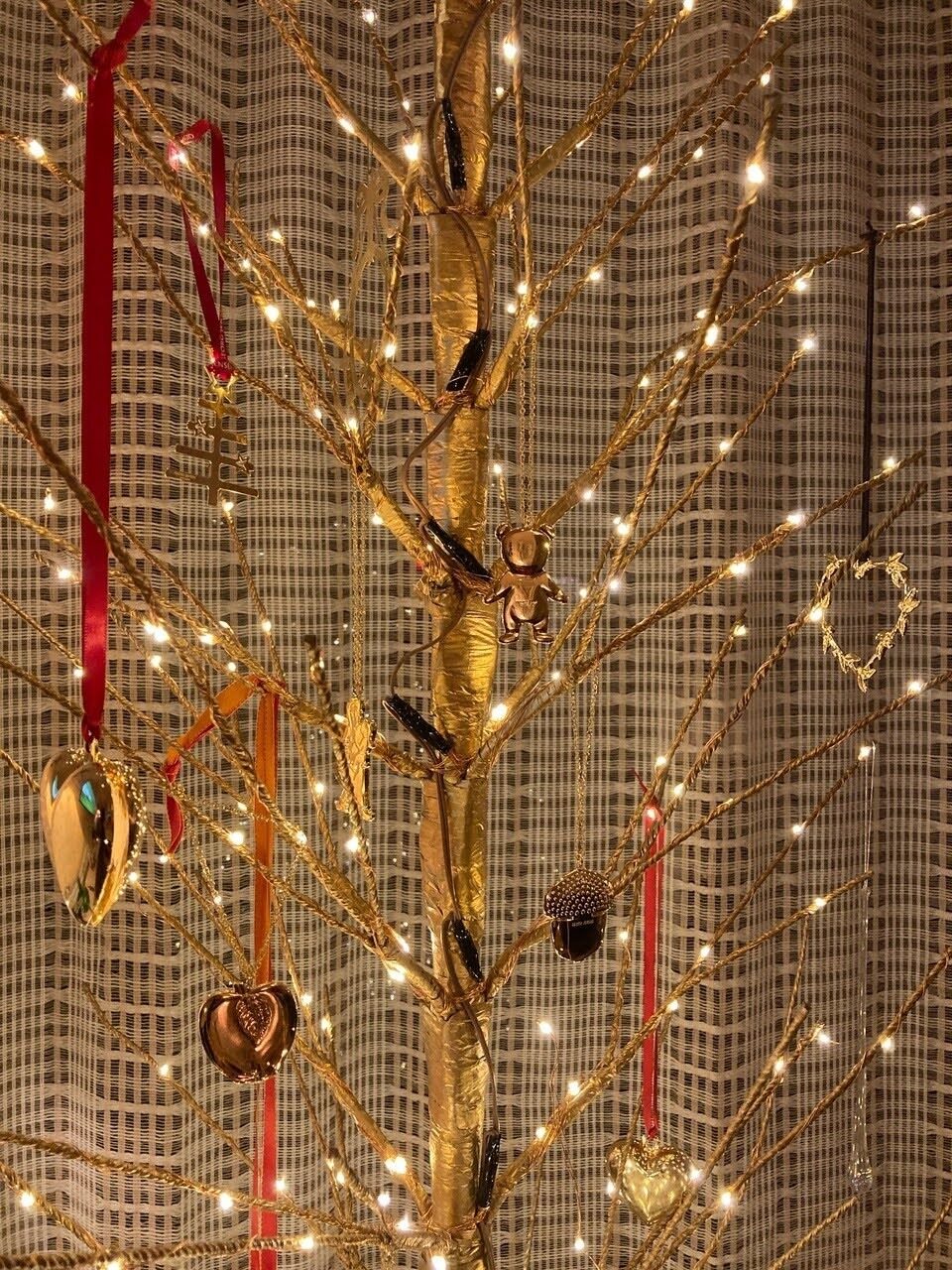 Christmas photo 16 Copy