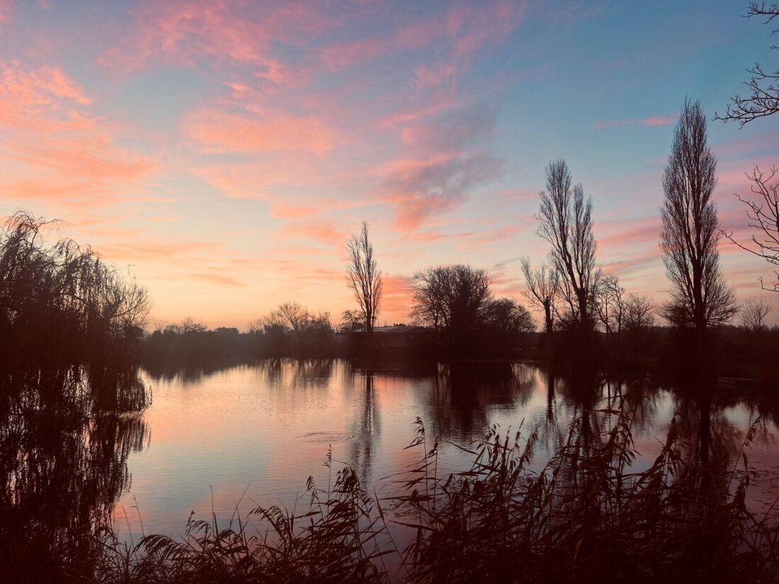 48b6bc05 29a9 4538 b6bd e81462abb4de