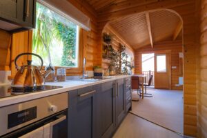 Norweigain Log 29 1 1