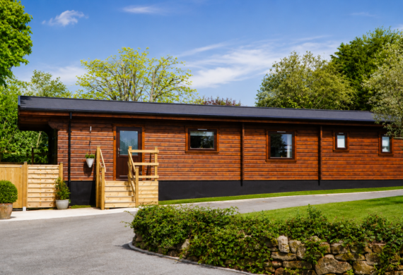 Sunny cabin in lush greenery