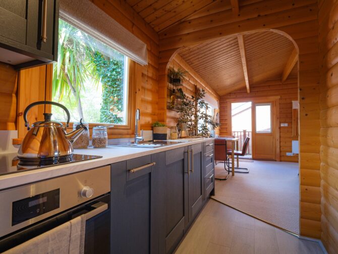 Norweigain Log 29 1 1