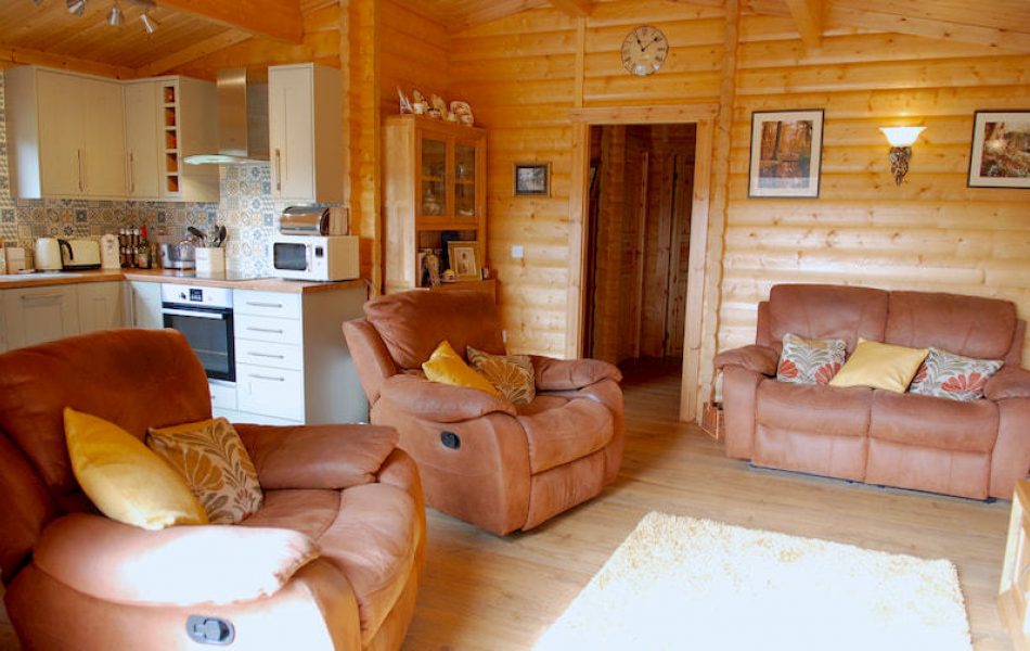 Traditional Log Cabin Interior 11