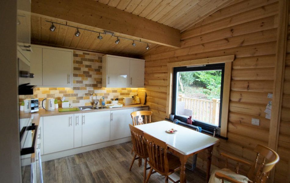 Traditional Log Cabin Interior 8