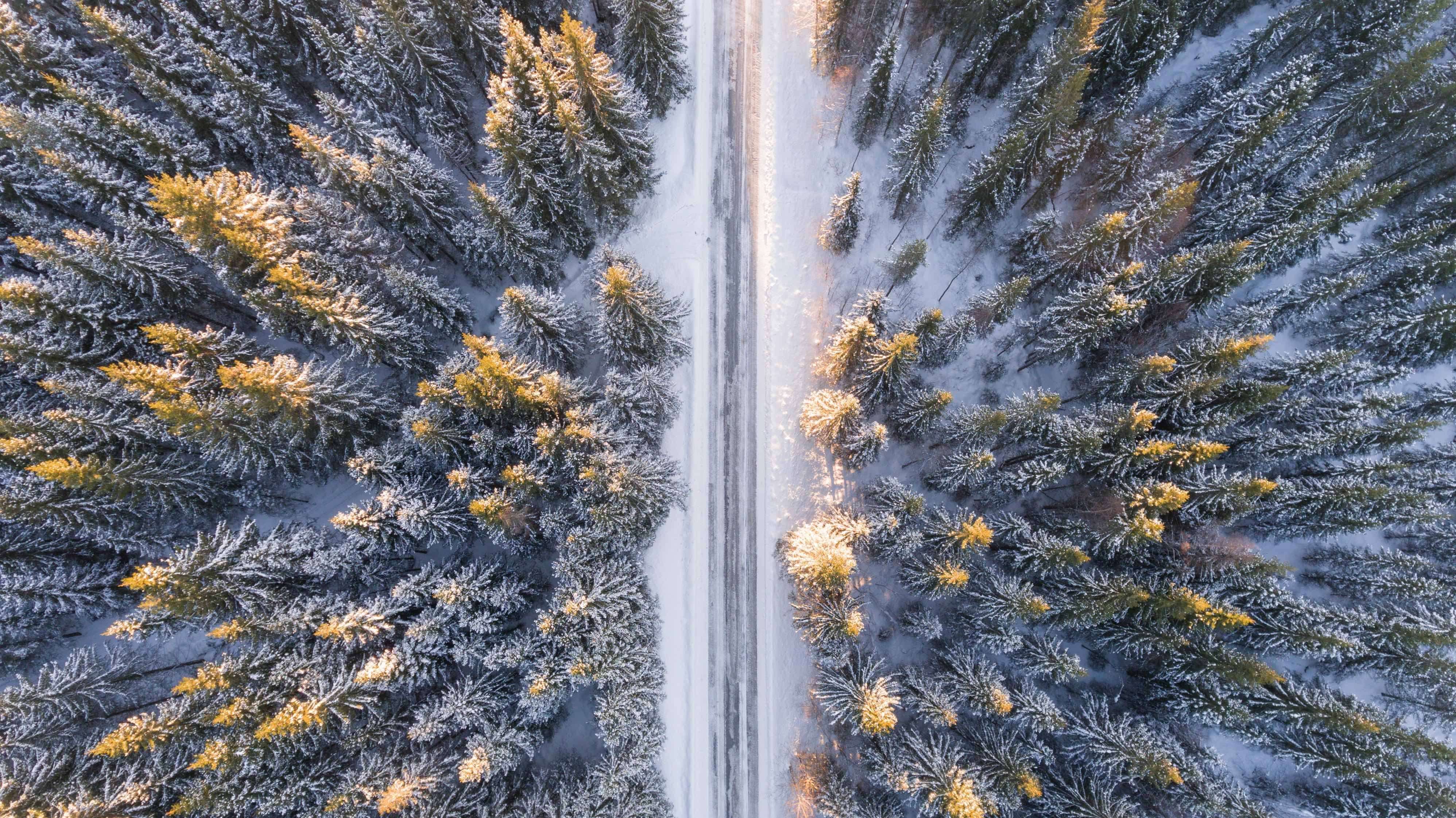 Photo credit: @invisiblepower - Unsplash.com Photo credit: @invisiblepower - Unsplash.com